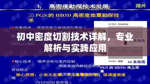 初中密度切割技术详解，专业解析与实践应用