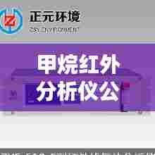 甲烷红外分析仪公司排行榜及行业影响力解析