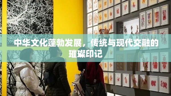 中华文化蓬勃发展，传统与现代交融的璀璨印记