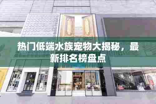 热门低端水族宠物大揭秘，最新排名榜盘点