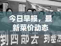 今日早报，最新菜价动态及图片概览