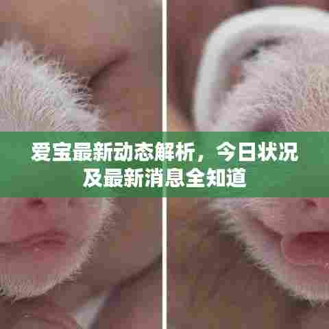 从容就义 第6页