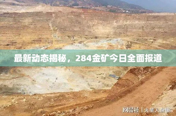 最新动态揭秘，284金矿今日全面报道