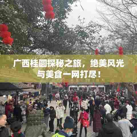 广西桂圆探秘之旅，绝美风光与美食一网打尽！