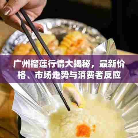 广州榴莲行情大揭秘，最新价格、市场走势与消费者反应