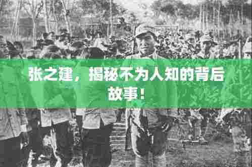 张之建，揭秘不为人知的背后故事！