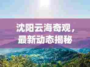 沈阳云海奇观，最新动态揭秘