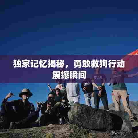 独家记忆揭秘，勇敢救狗行动震撼瞬间