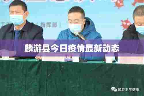 麟游县今日疫情最新动态