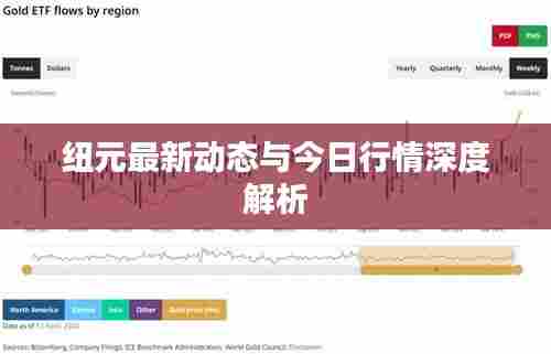 纽元最新动态与今日行情深度解析