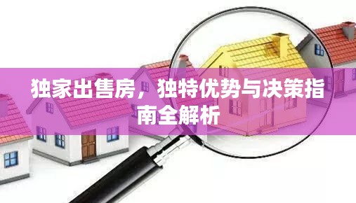 独家出售房，独特优势与决策指南全解析