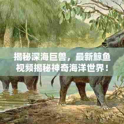 揭秘深海巨兽，最新鲸鱼视频揭秘神奇海洋世界！