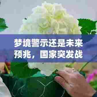 梦境警示还是未来预兆，国家突发战争之梦探秘