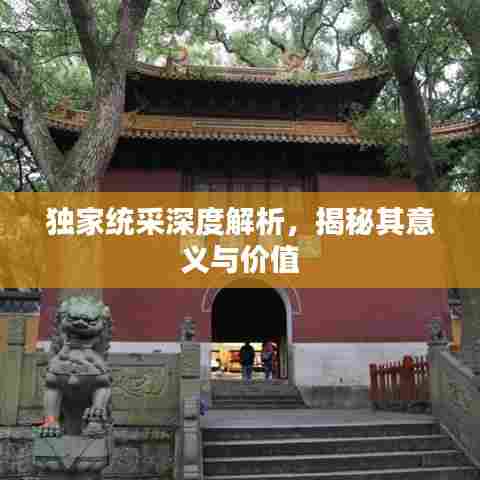 独家统采深度解析，揭秘其意义与价值