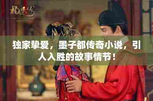 独家挚爱，墨子都传奇小说，引人入胜的故事情节！