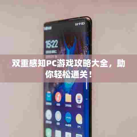 双重感知PC游戏攻略大全，助你轻松通关！