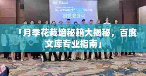 「月季花栽培秘籍大揭秘，百度文库专业指南」