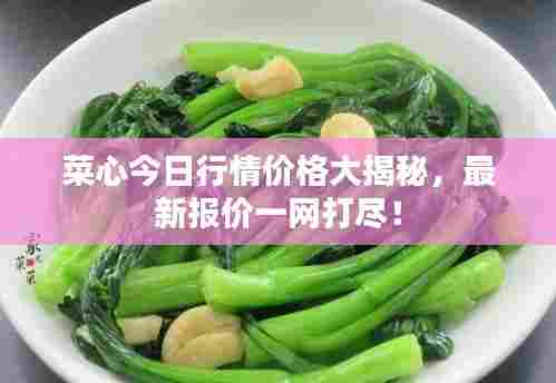 菜心今日行情价格大揭秘，最新报价一网打尽！