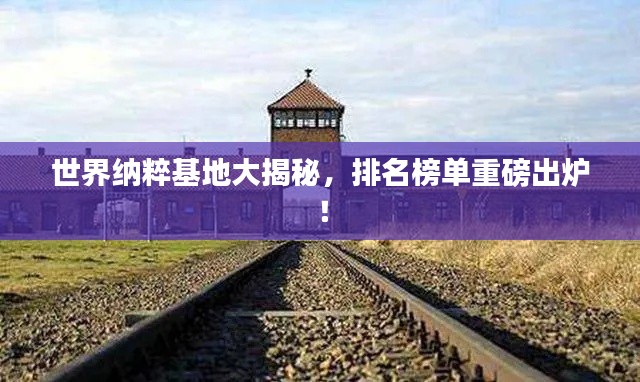 世界纳粹基地大揭秘，排名榜单重磅出炉！
