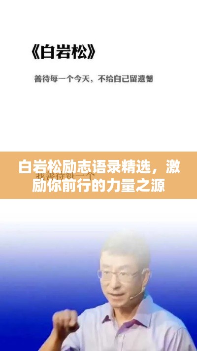 白岩松励志语录精选，激励你前行的力量之源