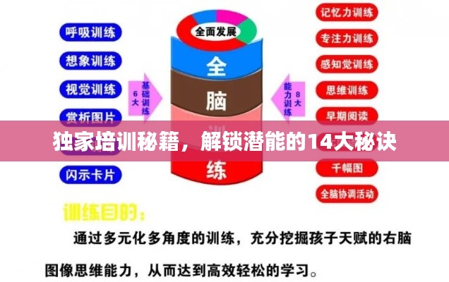 独家培训秘籍，解锁潜能的14大秘诀