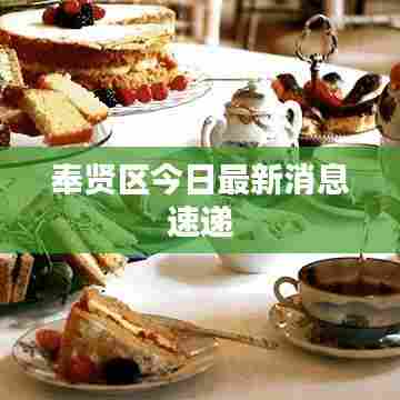 奉贤区今日最新消息速递