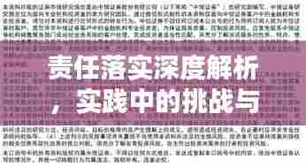 责任落实深度解析，实践中的挑战与策略探讨