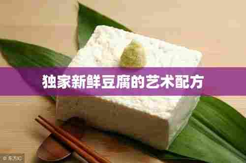 独家新鲜豆腐的艺术配方