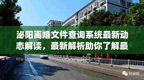 泌阳离婚文件查询系统最新动态解读，最新解析助你了解最新进展