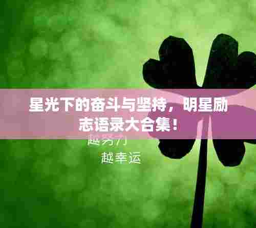 星光下的奋斗与坚持，明星励志语录大合集！