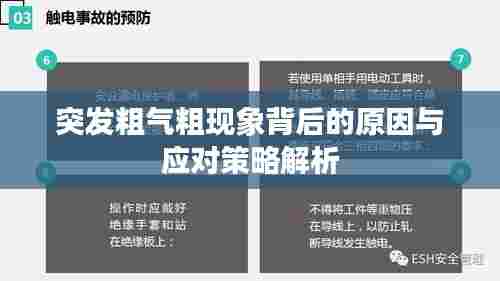 突发粗气粗现象背后的原因与应对策略解析