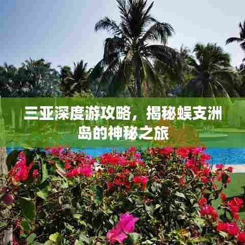 三亚深度游攻略，揭秘蜈支洲岛的神秘之旅