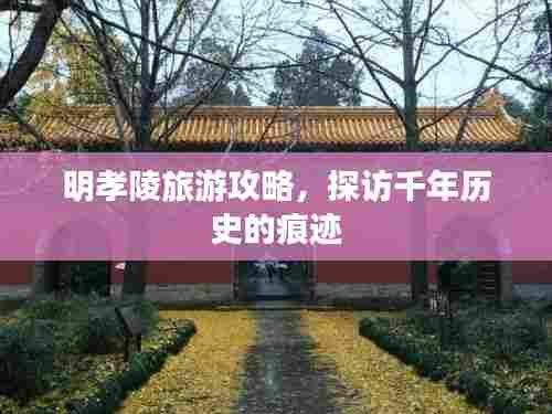 明孝陵旅游攻略，探访千年历史的痕迹