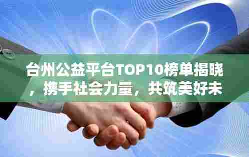 台州公益平台TOP10榜单揭晓，携手社会力量，共筑美好未来