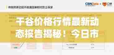 干谷价格行情最新动态报告揭秘！今日市场走势分析。