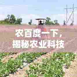 农百度一下，揭秘农业科技的无限潜力与奥秘探索