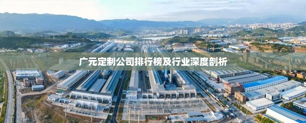 广元定制公司排行榜及行业深度剖析