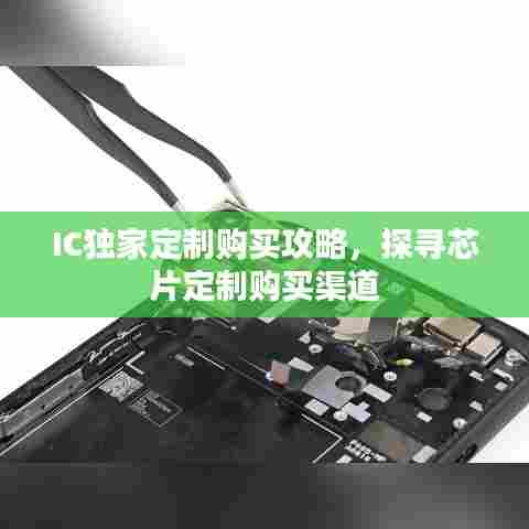 IC独家定制购买攻略，探寻芯片定制购买渠道