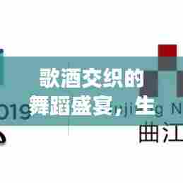 歌酒交织的舞蹈盛宴，生命旋律中的狂欢之旅