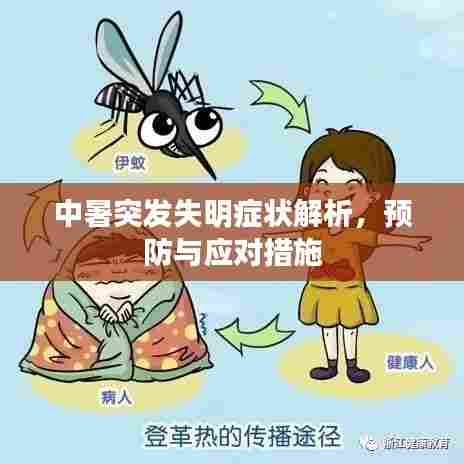 中暑突发失明症状解析，预防与应对措施