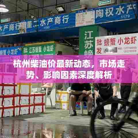 杭州柴油价最新动态，市场走势、影响因素深度解析