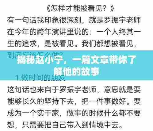 揭秘赵小宁，一篇文章带你了解他的故事