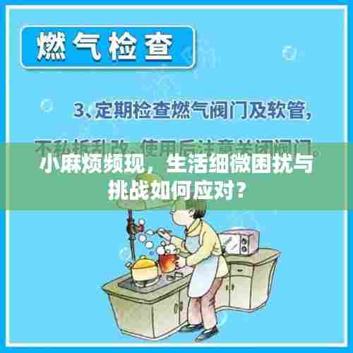 小麻烦频现，生活细微困扰与挑战如何应对？