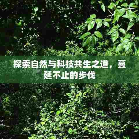 探索自然与科技共生之道，蔓延不止的步伐