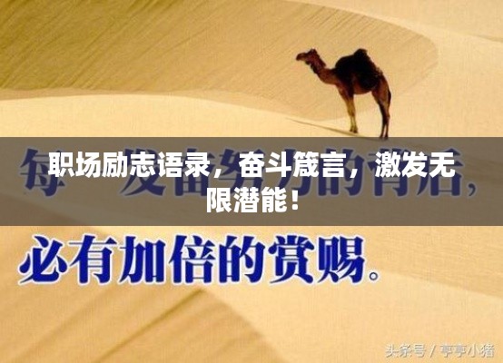 职场励志语录，奋斗箴言，激发无限潜能！