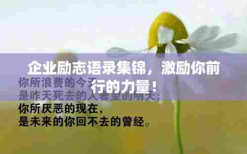 企业励志语录集锦，激励你前行的力量！