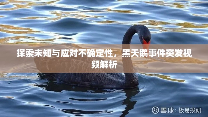 探索未知与应对不确定性，黑天鹅事件突发视频解析