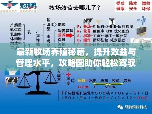 最新牧场养殖秘籍，提升效益与管理水平，攻略图助你轻松驾驭牧场