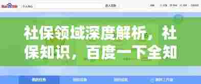 社保领域深度解析，社保知识，百度一下全知道