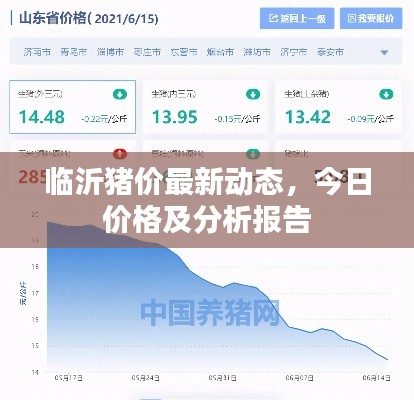 临沂猪价最新动态，今日价格及分析报告